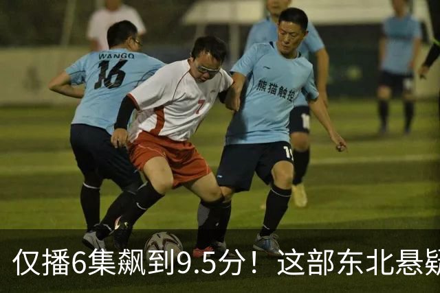 仅播6集飙到9.5分！这部东北悬疑剧凭什么封神