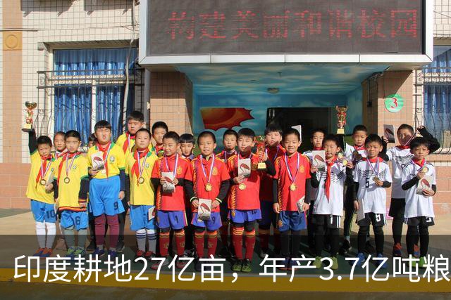 印度耕地27亿亩，年产3.7亿吨粮食，我国耕地19.18亿亩，年产多少
